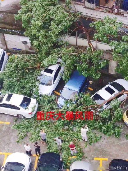 “重庆最新大风警报信息”