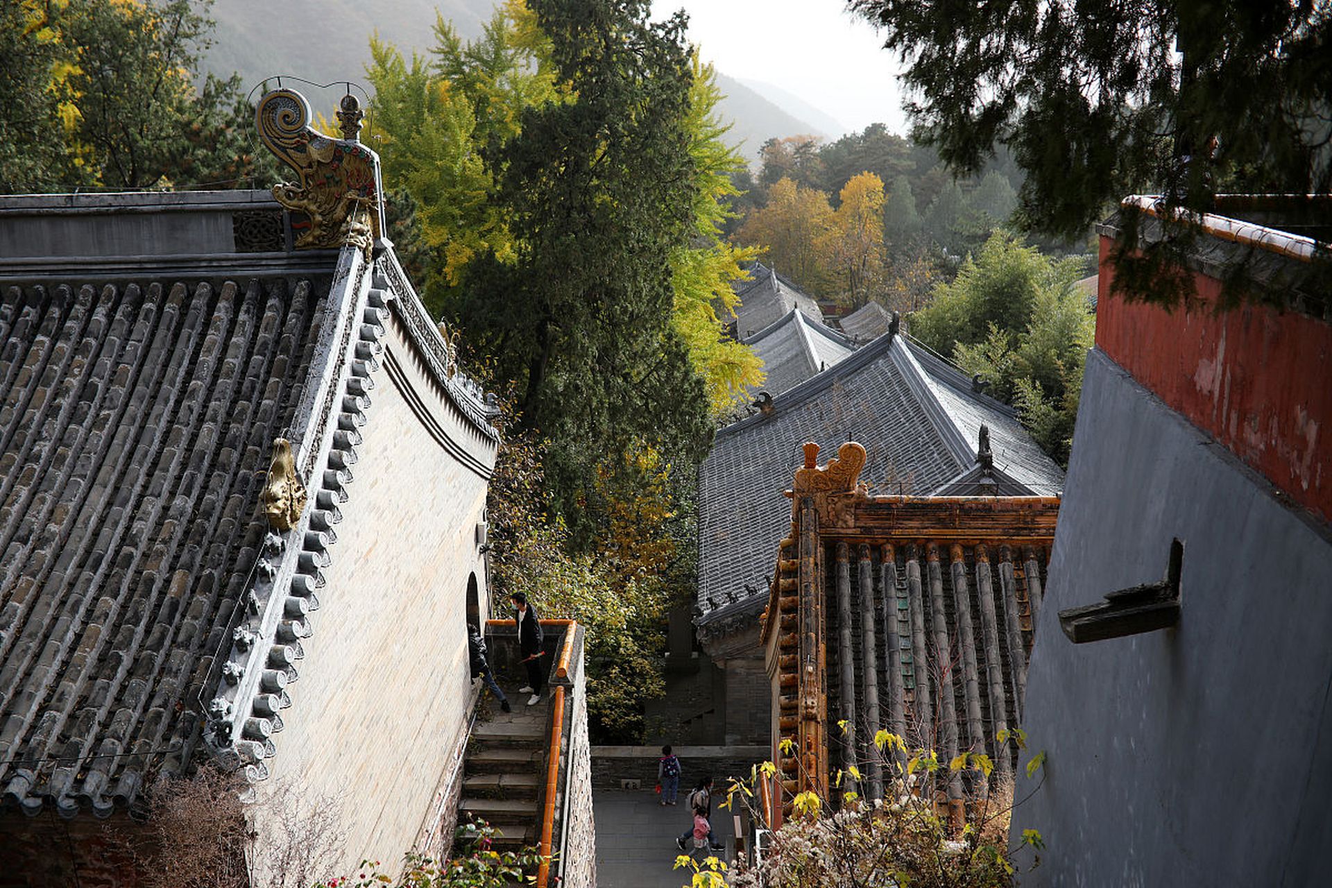 门头沟潭柘寺喜讯连连，美好篇章续写新篇