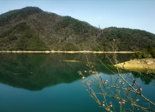 太平湖金龙岛房价持续攀升，宜居胜地价值闪耀新篇章