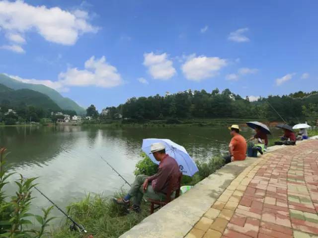 探秘小湾垂钓新风向，最新动态一网打尽！